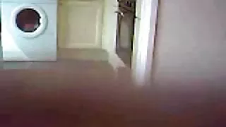 Apetitoso ébano gosta de montar um filme de pornô da mulher melancia galo branco