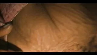 Posando 69 lésbicas relaxar boceta gretchen filme pornô peluda