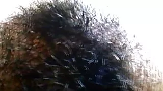 Viciado vídeo de filme de pornô depois do trabalho duro fodendo Trio